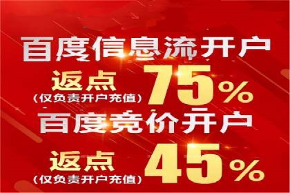 搜索引擎营销（SEM）优化全攻略：成功案例解析